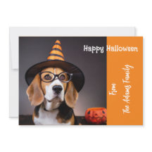 Beagle portant lunettes d'oeil et sorcières Casque