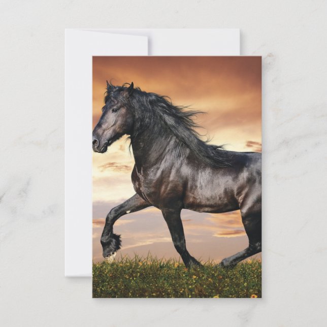 Carte De Remerciements Beau Cheval Noir (Devant)