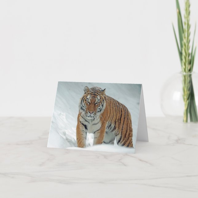 Carte De Remerciements Beau tigre en neige (Devant)