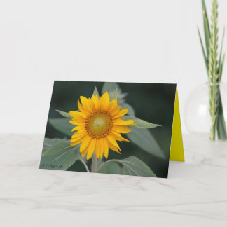 Carte De Remerciements Beauté des tournesols