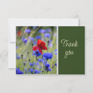 Carte De Remerciements Beautiful Blue Red Flowers WatercolorThank you