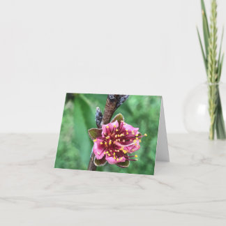 Carte De Remerciements Belle Fleur Rose sur Pêcher