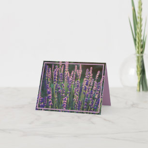 Carte De Remerciements Belles Fleurs de Lavande Lumineuses