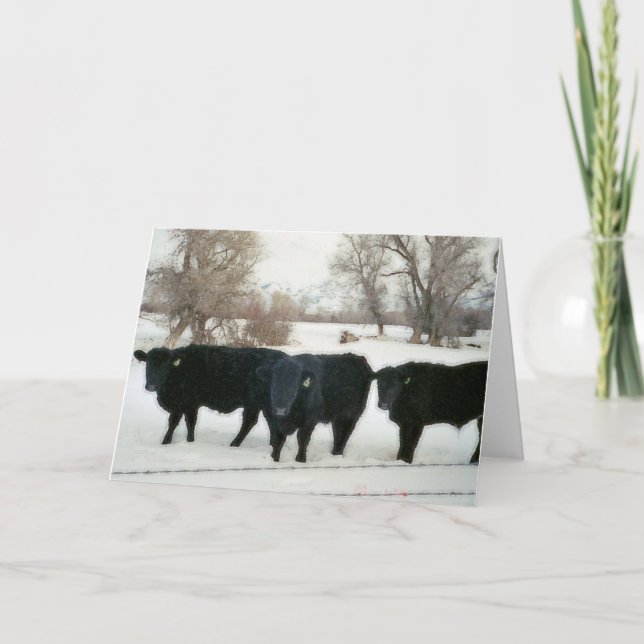 Carte De Remerciements Bétail noirs dans la neige (Devant)