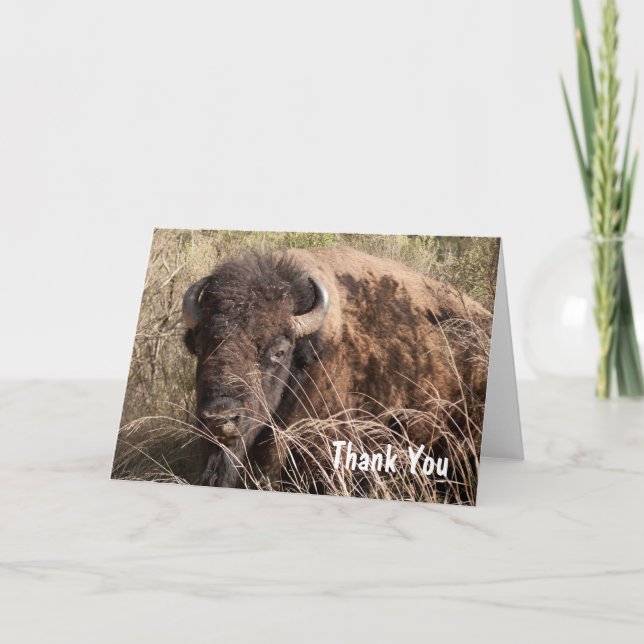 Carte De Remerciements Bison (Devant)