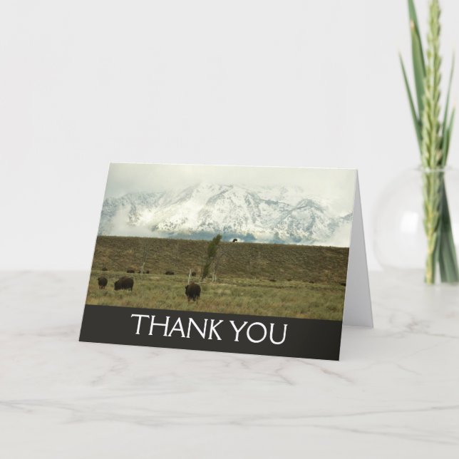 Carte De Remerciements Bison à Grand Teton National Park Photographie (Devant)