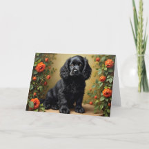 Black Cocker Spaniel