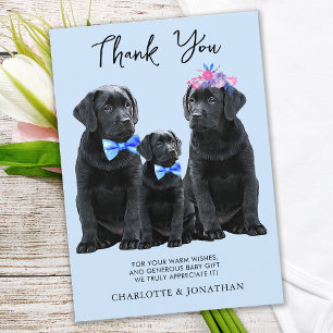 Carte De Remerciements Black Labrador Retriever Blue Boy Puppy Chien