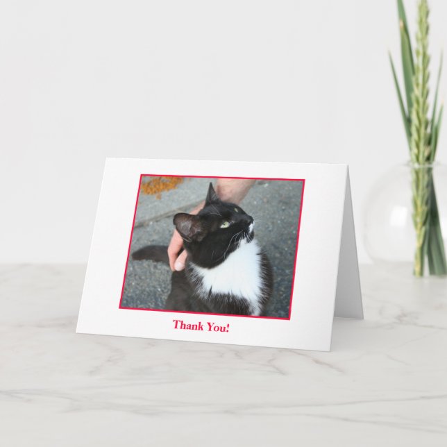 Carte de remerciements, blanc à l'intérieur (Devant)