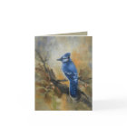 Bluejay "Jaybird" par Jason Street