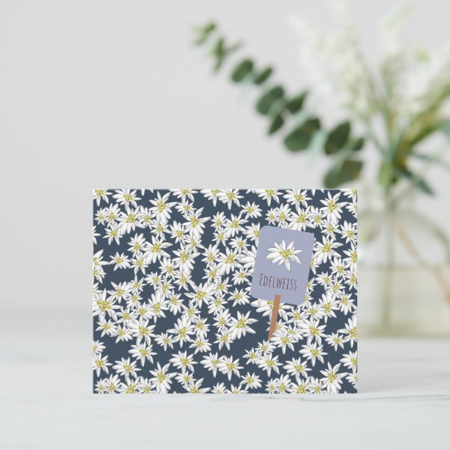 Carte De Remerciements Boho Fleur sauvage alpin Edelweiss illustré à la m (Debout devant)