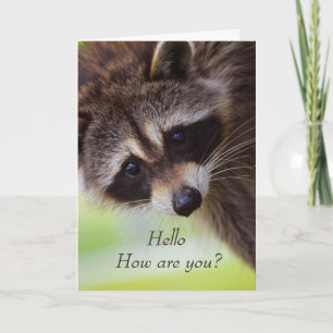 Carte De Remerciements Bonjour Comment vas-tu ? Cute Raccoon Animal Fun 