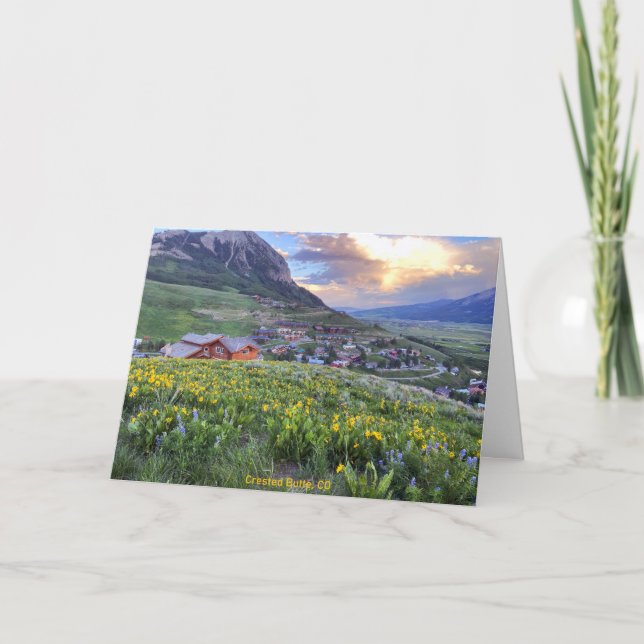 Carte De Remerciements Bouton mis en place, CO Photo (Devant)