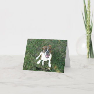 Carte de remerciements (Bow Wow !)