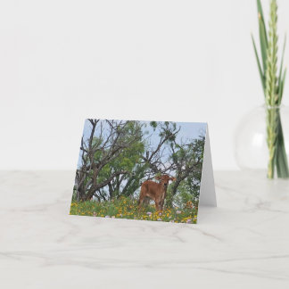 Carte De Remerciements Brahman Calf en Fleur sauvage