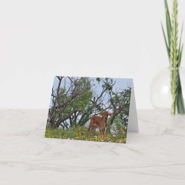 Carte De Remerciements Brahman Calf en Fleur sauvage (Devant)