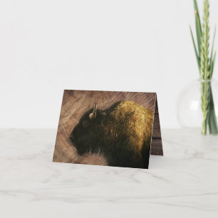 Carte De Remerciements Buffalo de bison de bois
