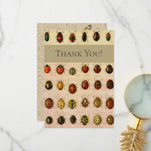 Carte De Remerciements Bug d'insectes coccinelle de coccinelle