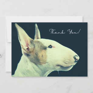 Carte De Remerciements Bull Terrier
