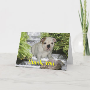 Carte De Remerciements Bulldog