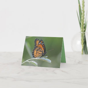 Carte De Remerciements Butterfly resting On A Leaf