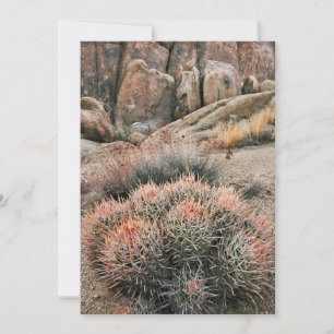 Carte De Remerciements Cactus Barrel en Californie