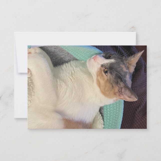 Carte De Remerciements Calico Chat dans le lit de chat (Devant)
