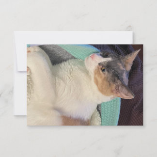 Carte De Remerciements Calico Chat dans le lit de chat
