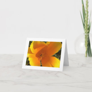 Carte De Remerciements California Golden Poppy - 3