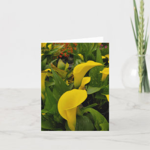 Carte De Remerciements Calla lily