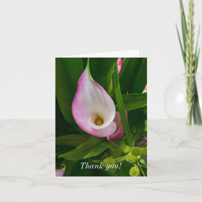 Carte de remerciements - Calla Roll (Devant)