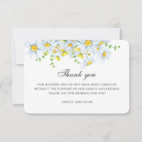 Camomille d'été. Fleurs de jardin printanières de 