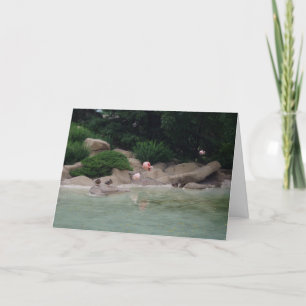 carte de remerciements "Canards et Flamants roses"