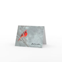 Cardinal dans la neige