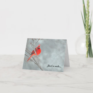 Carte De Remerciements Cardinal dans la neige