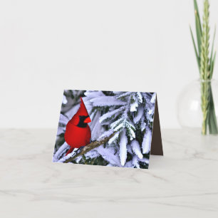 Carte De Remerciements Cardinal rouge d'hiver