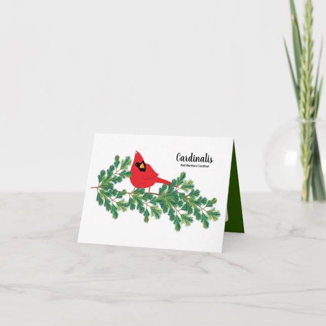 Carte De Remerciements Cardinal rouge perché sur les branches de pin Cart (Devant)