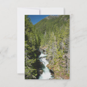 Carte De Remerciements Cascade de la forêt nationale olympique