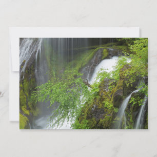 Carte De Remerciements Cascade Verte Scénique