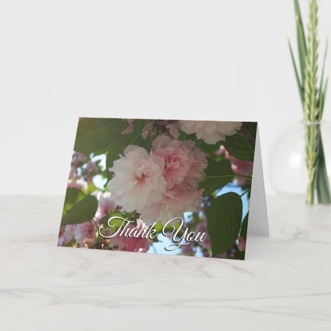 Carte De Remerciements Cerisier à Fleurs Doubles I Floraison Printanière (Devant)