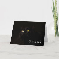 Chat noir par point pour une cause