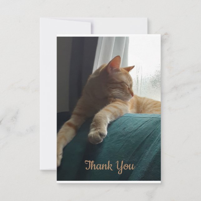 Carte De Remerciements Chat orange (Devant)