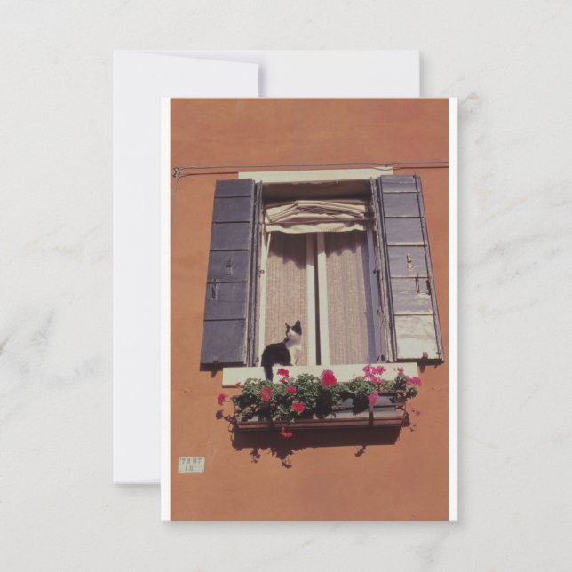 Carte De Remerciements Chat sur une Fenêtre Vénitienne. (Devant)