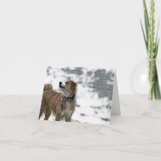 Carte De Remerciements Chien