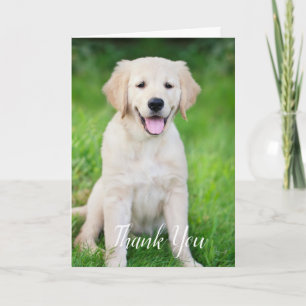 Carte De Remerciements Chien animal familier photo vétérinaire technicien
