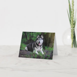 Carte De Remerciements Chien chiot sibérien - Bonjour, amour, Merci,