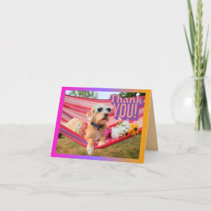 Carte De Remerciements Chien En Vacance Mentionné Dans Hammock Animateur