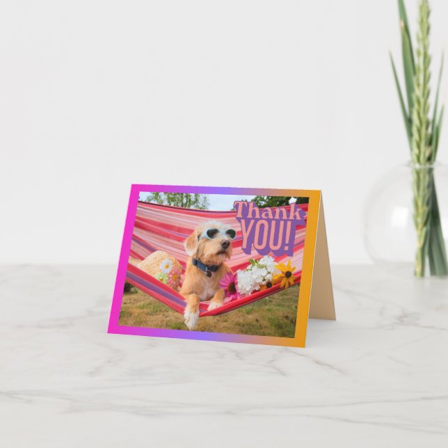 Carte De Remerciements Chien En Vacance Mentionné Dans Hammock Animateur (Devant)