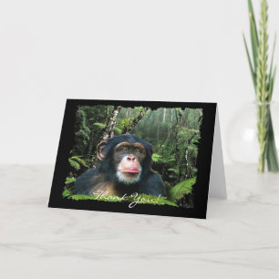 CARTE DE REMERCIEMENTS CHIMPANZEE