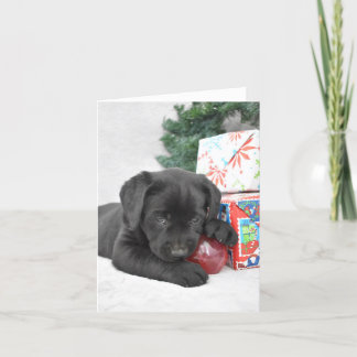 Carte De Remerciements Chiot du Labrador noir avec cadeaux de Noël